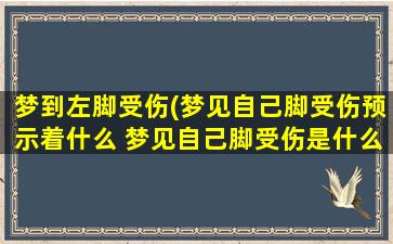 梦到左脚受伤(梦见自己脚受伤预示着什么 梦见自己脚受伤是什么意思)